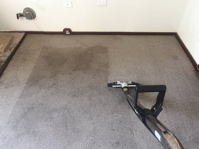 carpet cleaning from steamwest 3