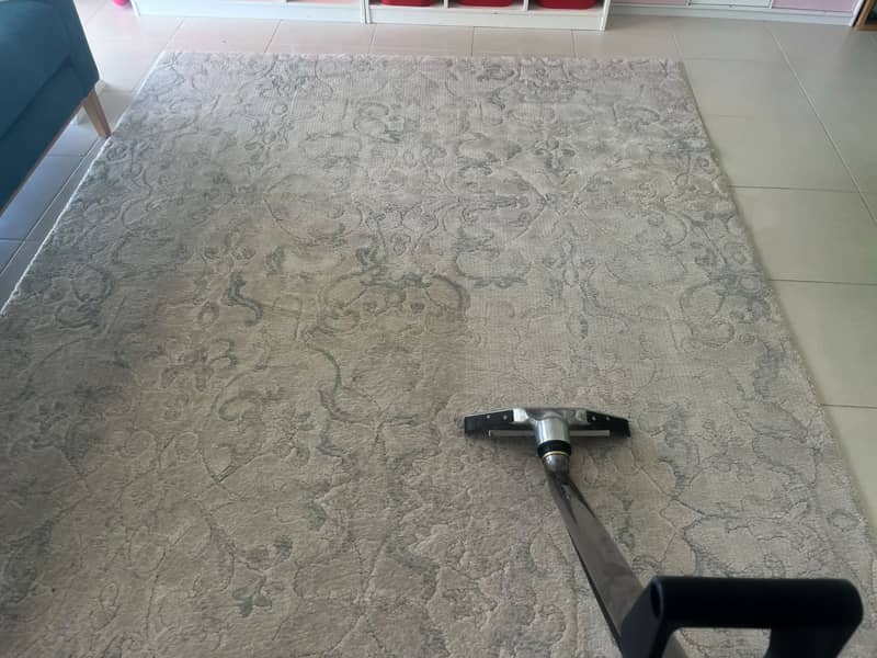 carpet steam cleaning