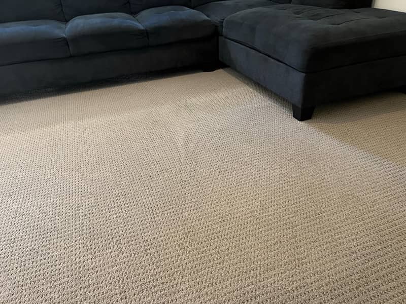 lounge room carpet cleaning