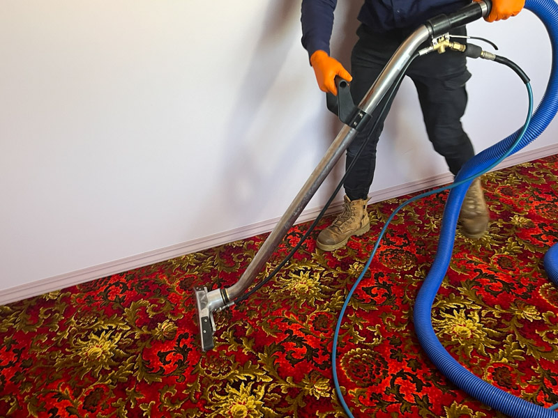 Steamwest cleaning axminster carpet