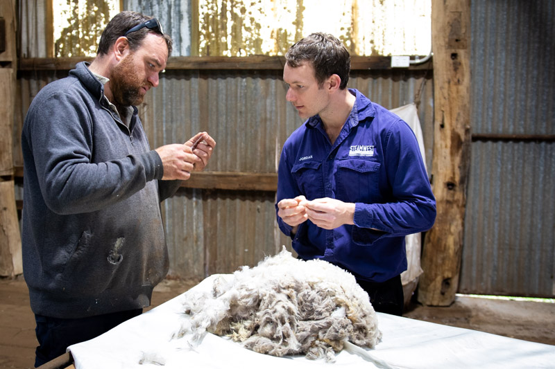 Northam wool producer showing steamwest carpet cleaning technician merino wool fibre