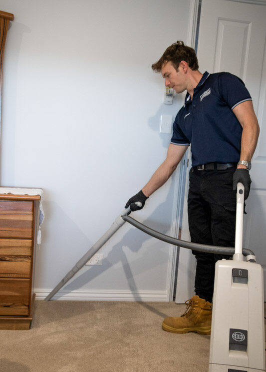 Steamwest carpet cleaning technician vacuuming